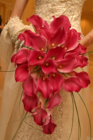 calla lily bridal bouquet red calla lily bouquet red calla lillies