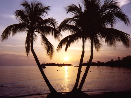 All inclusive resorts in