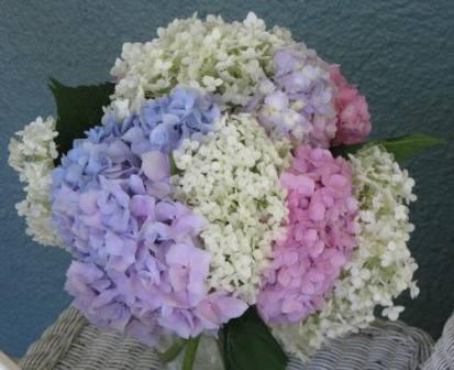  colored hydrangea wedding bouquet spring wedding themes
