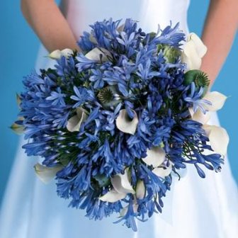 Black  White Wedding Decorations on Blue And White Bouquet  Blue Wedding Bouquet  Winter Wedding Bouquet