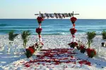 Hawaiian Wedding Ideas. Are you have a wedding in hawaii or just a hawaiian themed wedding? Get ideas today!