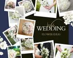 Are you planning on using white wedding flowers in your wedding? Get ideas, photos, and inspiration on the flowers to use and how to use them!