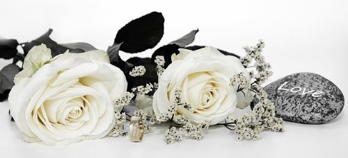 artistic white wedding roses photo