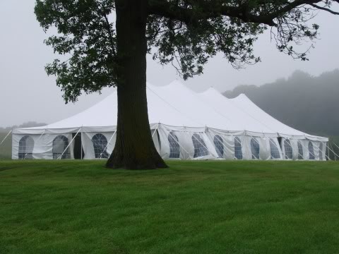 backyard wedding tent