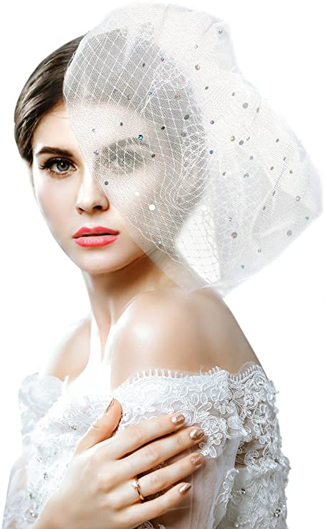 Wedding Floral Bridcage Veil with Rhinestones Embellishments Comb