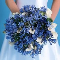 Bride Holding cascading blue wedding bouquet