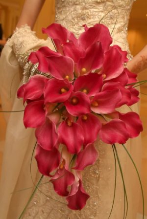 pink calla lily bridal bouquet