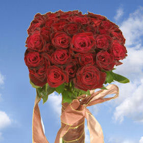 Christmas Wedding Ideas, Christmas Weddings, Red Bridal Bouquet, Bridal Bouquet of Roses