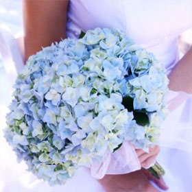 Cinderella Wedding Ideas, Fairytale Weddings, fairytale wedding ideas, Bridal Bouquet with Blue Hydrangeas