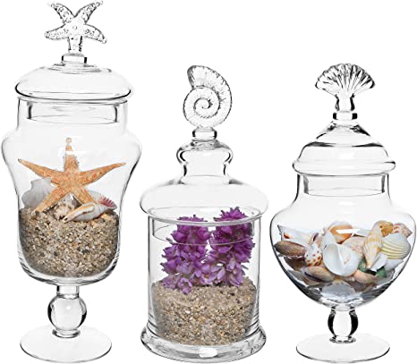 Clear Glass Apothecary Jars