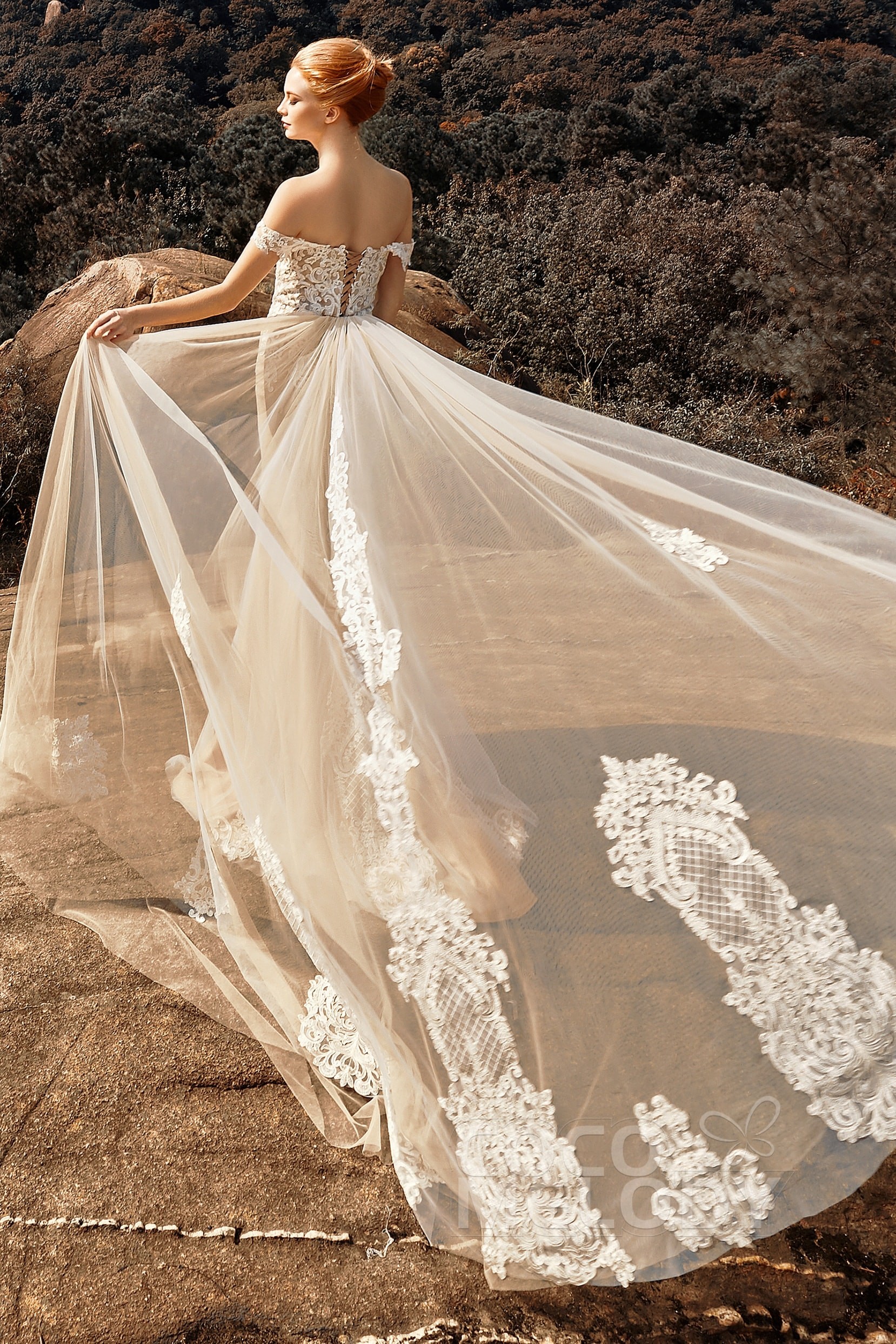 Trumpet-Mermaid Lace Chapel Train Tulle Wedding Dress