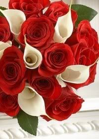 inexpensive wedding ideas, budget wedding ideas, red and white wedding flowers