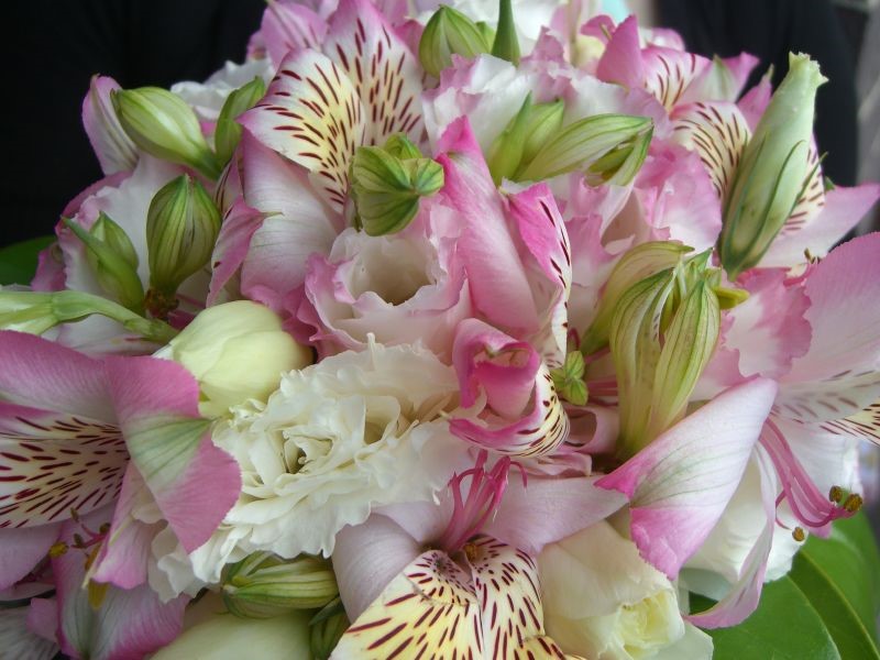 Stunning Bouquet of White, Pink and Green Flowers