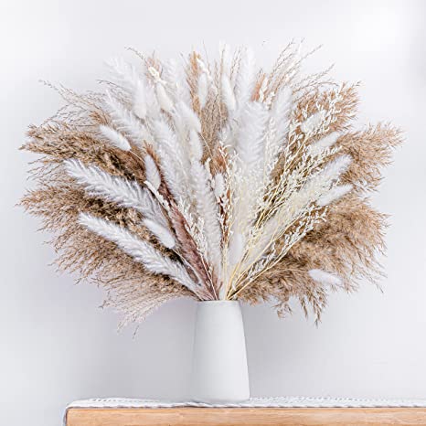 Natural Dried Pampas Grass