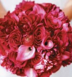 Pink Ranuculus Flowers