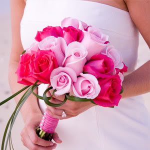 Bride Holding Hot Pink and Pale Pink Bridal Bouquet