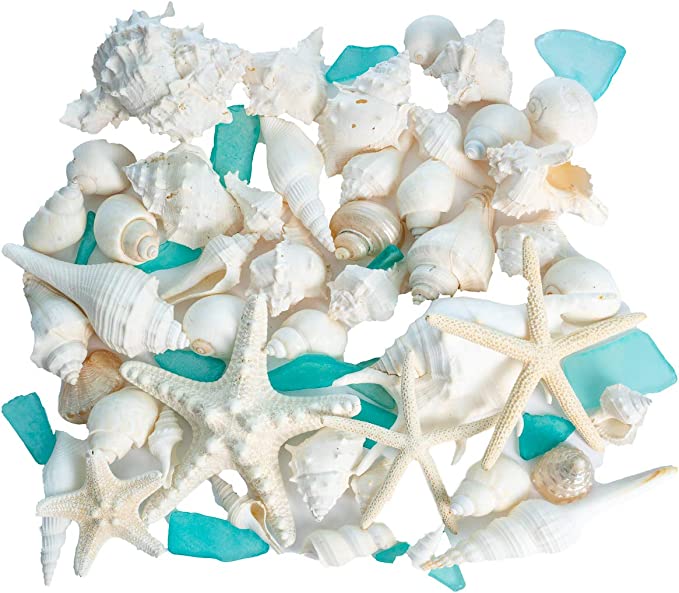 Seashell and Starfish Decorating Pack