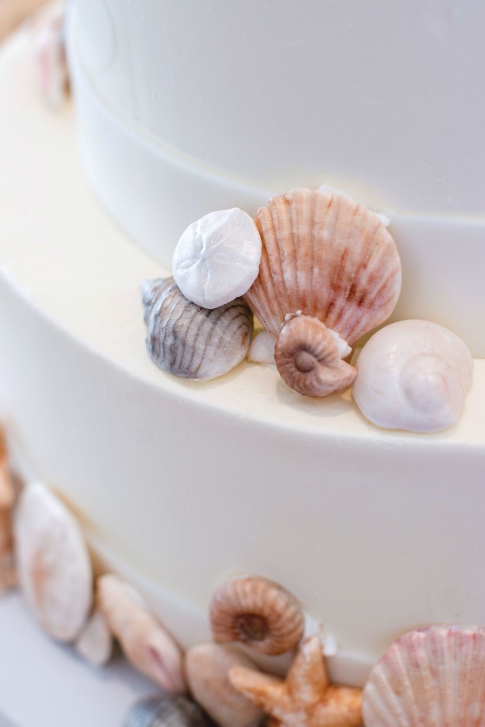 seashell wedding cake, seashell wedding cake ideas, beach wedding cakes, wedding cake photos