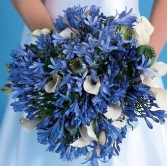 spring wedding colors, blue wedding bouquet, blue and white wedding flowers