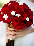 Bride Holding Beautiful Red and White Wedding Bouquet