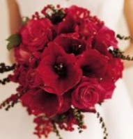 summer wedding colors, red wedding bouquet, red wedding flowers