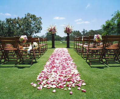 unique outdoor wedding ideas, outdoor wedding aisle, lawn wedding aisel with pink petals