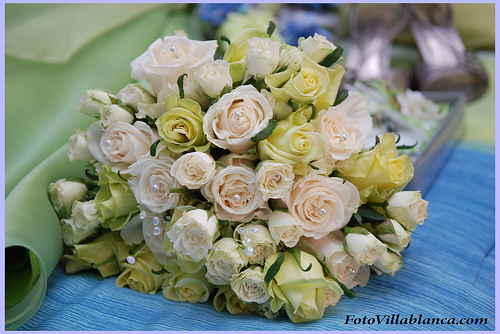 yellow and blush rose bridal bouquet
