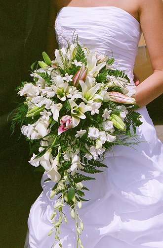 bride holding white and green cascading bridal bouquet