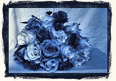 Gorgeous Blue Roses Wedding Bouquet