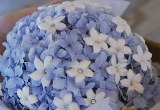 Blue and White Wedding Bouquet